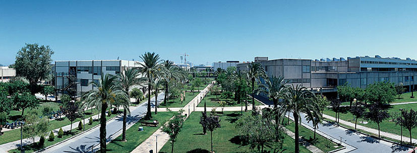 La UPV trabaja para convertir su campus en la primera universidad española neutra en emisiones de carbono